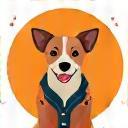 カスタムオーダーで犬服に個性をプラス